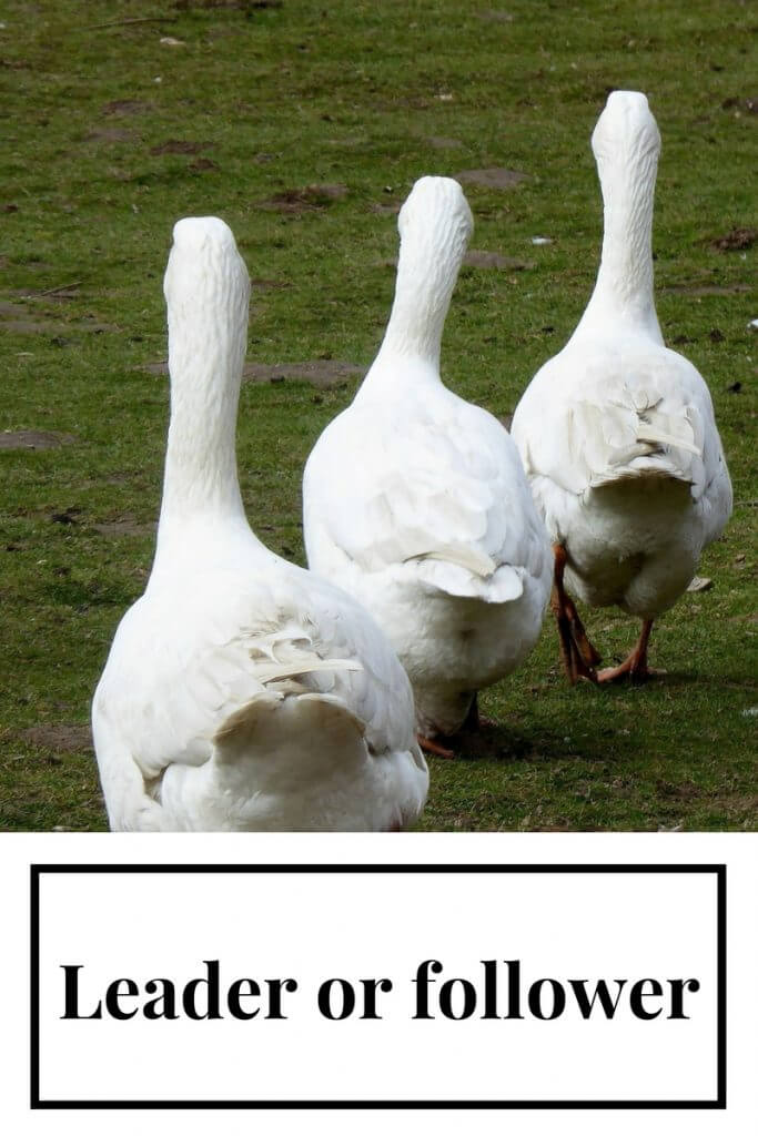 Leader or follower