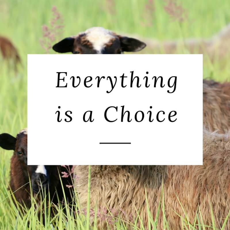 choice, action, activism