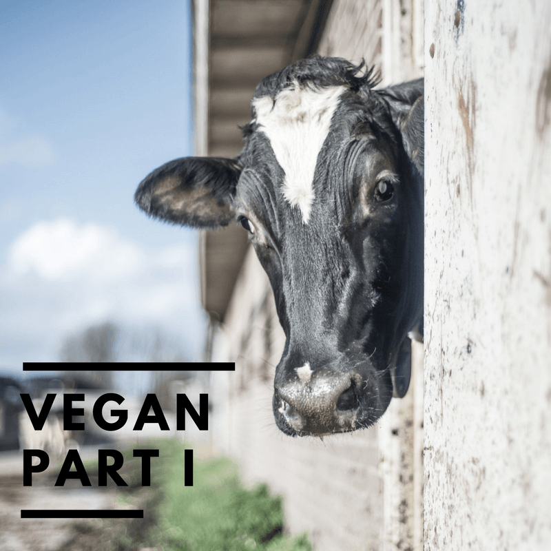 vegan diet reasons lifestyle