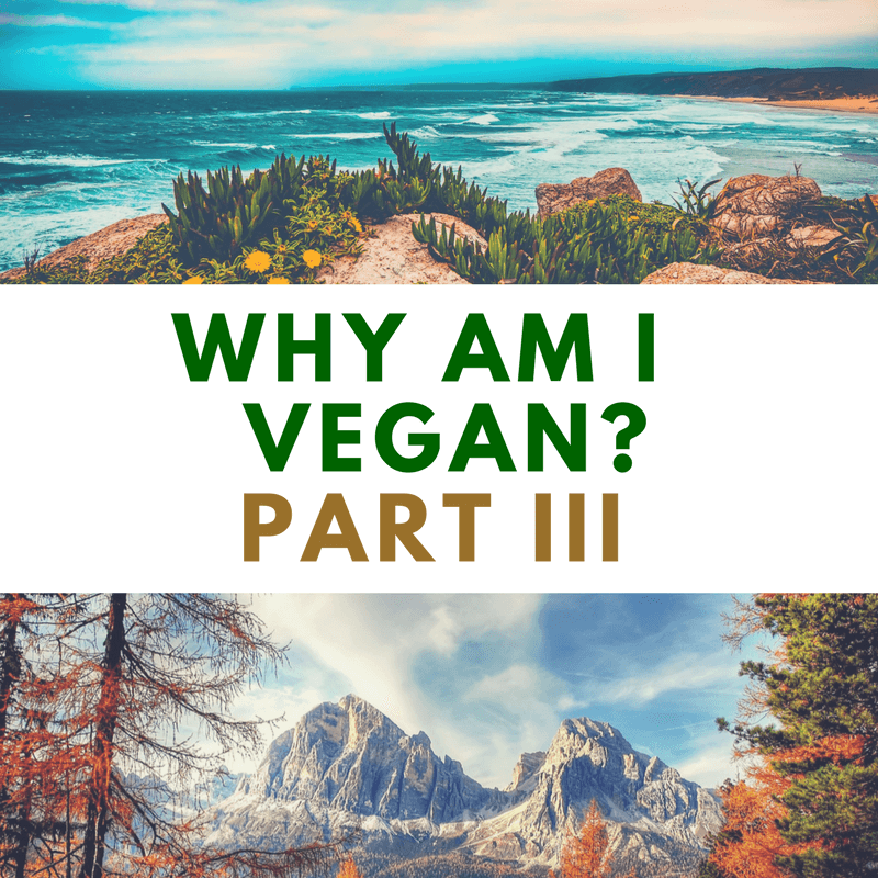 vegan, health, lifestyle, justice, diet