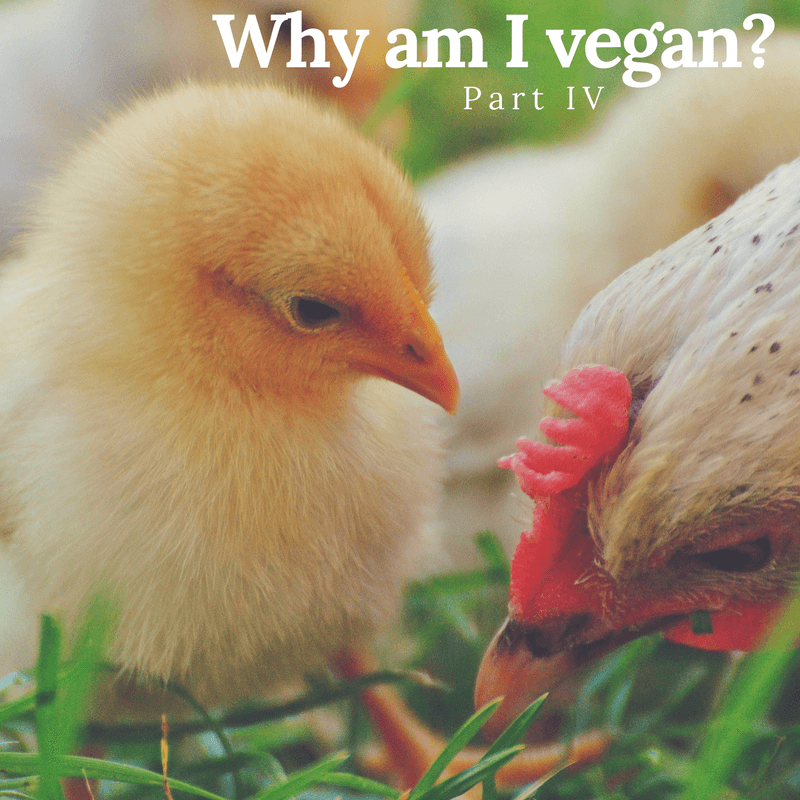 vegan, health, justice, diet, lifestyle