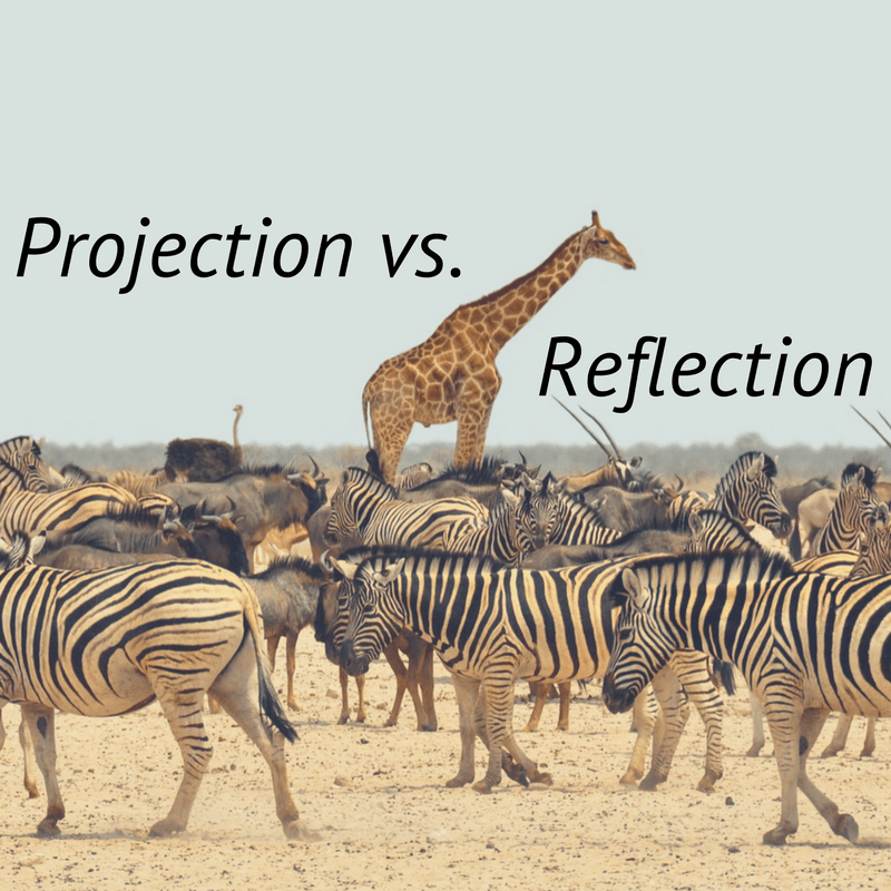 reflection projection